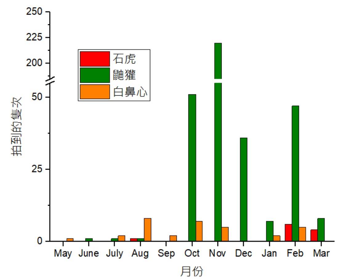 2019年5月至2020年3月4日間「智慧路殺預警系統」所記錄到的動物隻數。中興大學陳昱升博士/提供