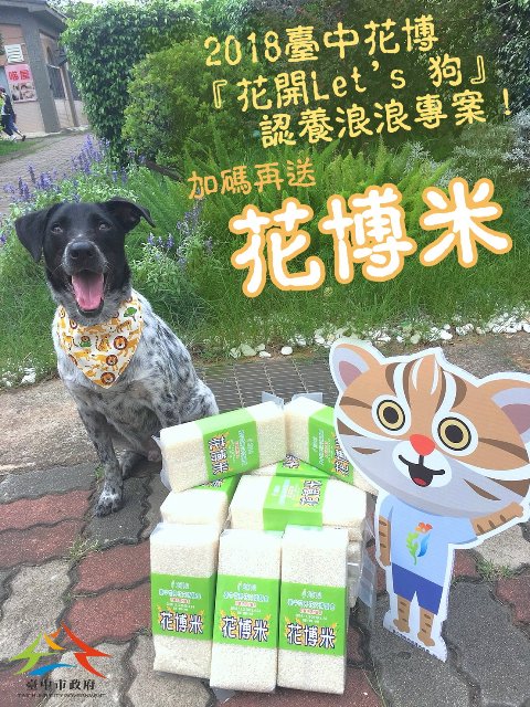 民眾至台中市動物之家南屯園區認養犬貓，可獲得花博門票、花博米等好禮。台中市動保處/提供
