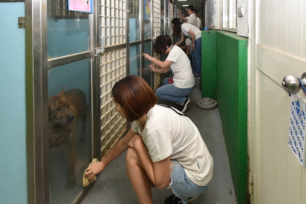 企業志工協助清潔犬舍環境,電力十足的犬隻讓員工們驚呼「好可愛」,不時停下清潔工作來拍照。妙題整合行銷/提供