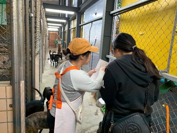 蒙玉芬向參訪民眾介紹成犬。新北市動保處/提供