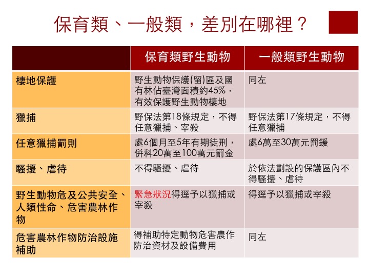 林華慶強調，調整某一物種的保育等級只是調整對該物種的保護強度，不代表全無保護。林務局/提供