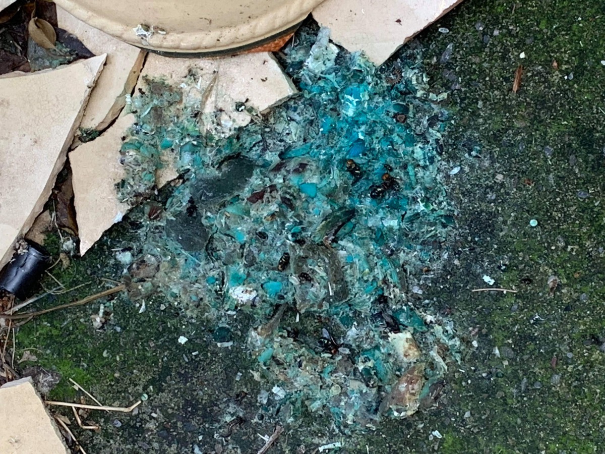 街犬死亡現場發現疑似毒餌的物體，經檢驗發現確實含有農藥「納乃得」。台北市動保處/提供