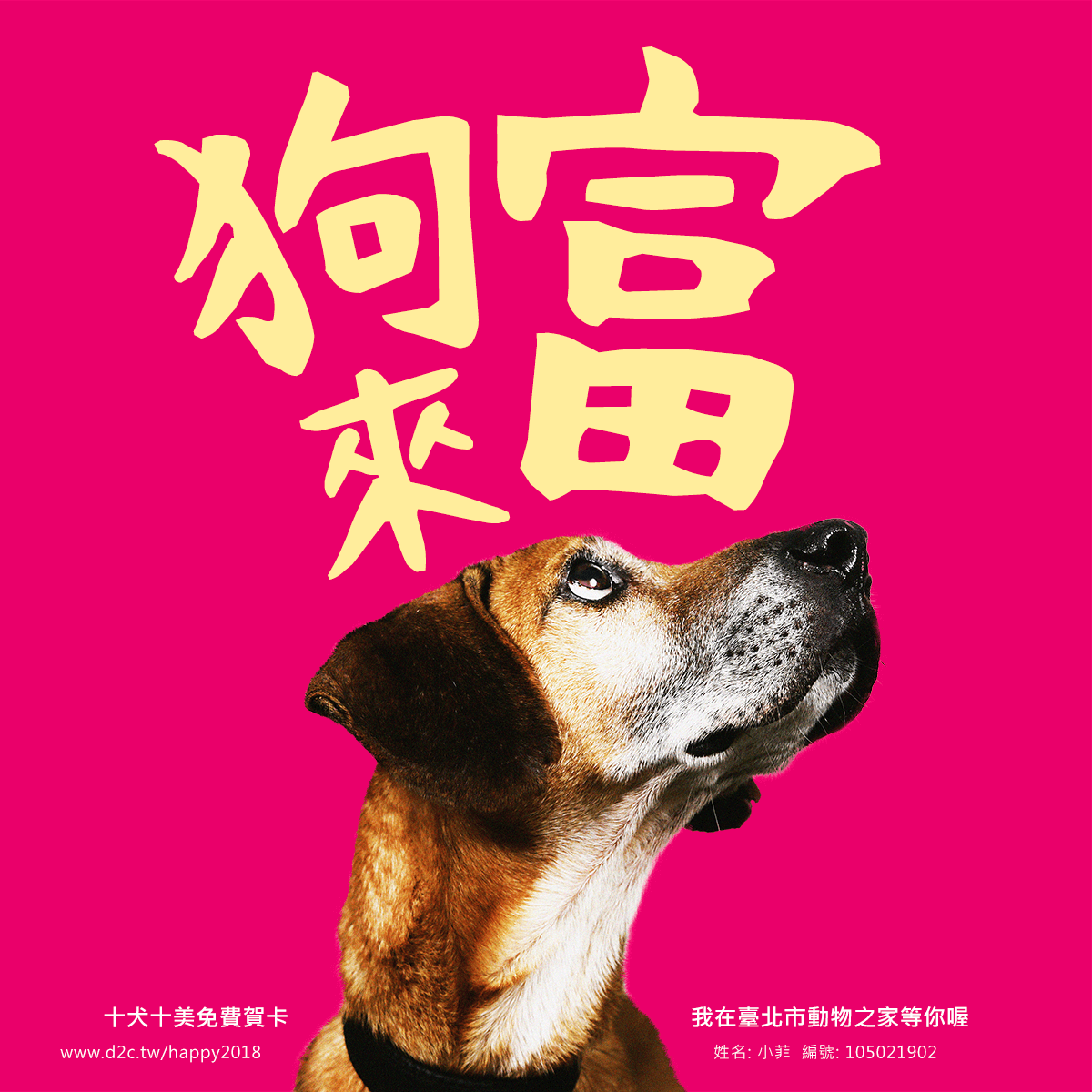 除了認養，也能透過參與志工服務、捐助動保團體等方式來幫助毛孩。取自「十犬十美賀狗年」活動網站