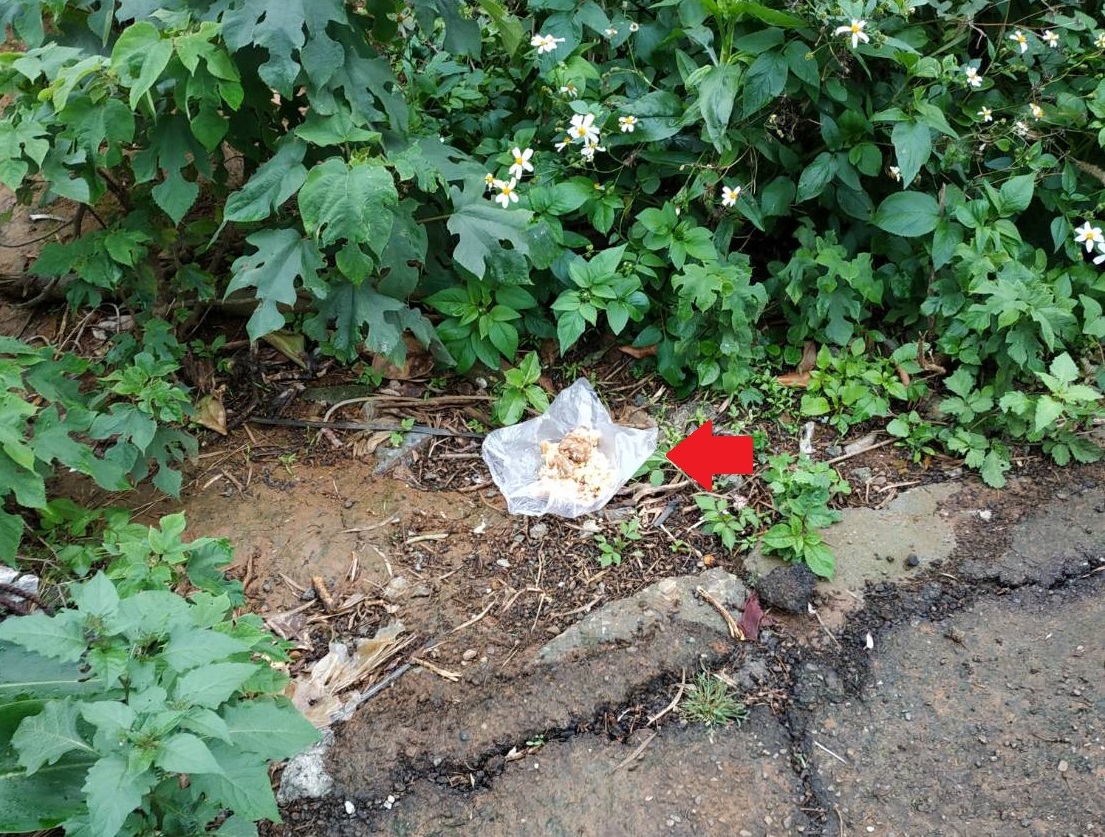 隨意餵食流浪動物或放置可食垃圾將造成環境衛生問題，也會增加動物在周遭游蕩的頻率。新北市動保處/提供