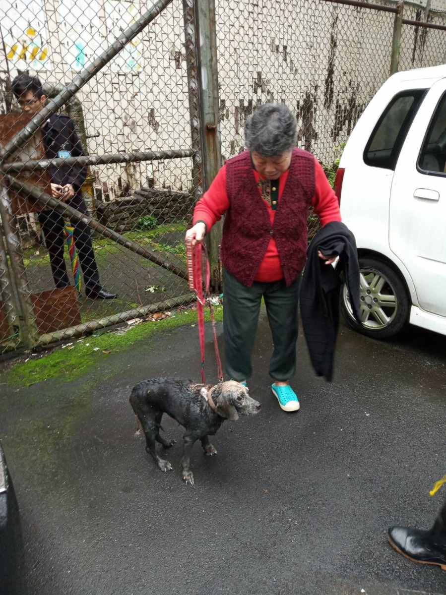 飼主陳太太表示,失而復得的感覺,真的超開心。新北市動保處/提供