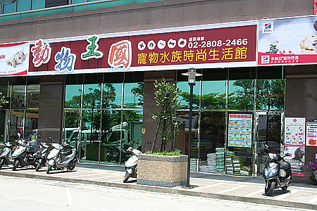 寵物用品店「動物王國」昨日驚傳倒閉,各分店所在地之動保處皆已前往關切並掌握店內動物之狀況,之後也將持續追蹤。圖為動物王國淡水店,取自「動物王國」部落格