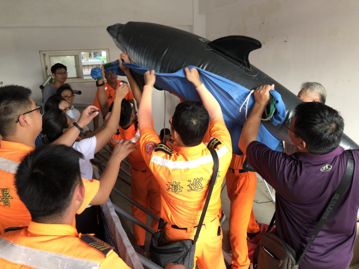 為了增進海巡人員的鯨豚救援處理能力,海保署也委托中華鯨豚協會辦理鯨豚救援擱淺相關訓練活動。海保署/提供