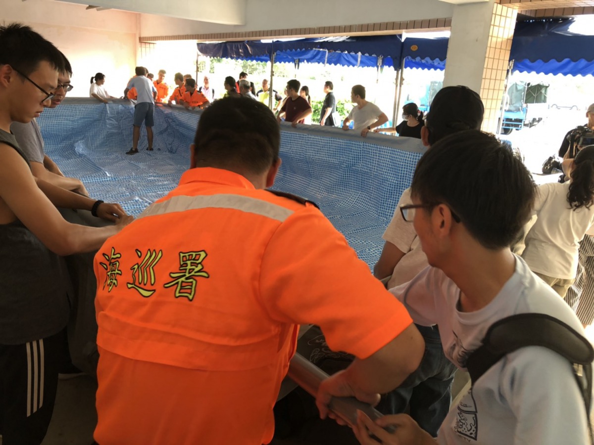 為了增進海巡人員的鯨豚救援處理能力,海保署也委托中華鯨豚協會辦理鯨豚救援擱淺相關訓練活動。海保署/提供