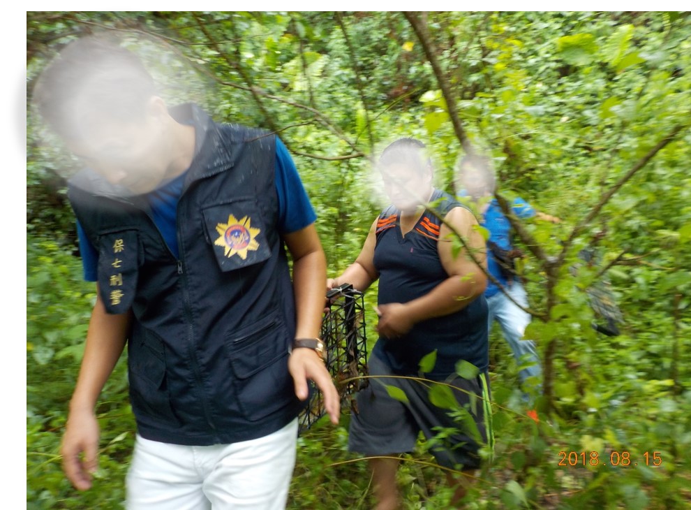 犯嫌自林地內取出所放置之誘捕陷阱。花蓮林管處/提供