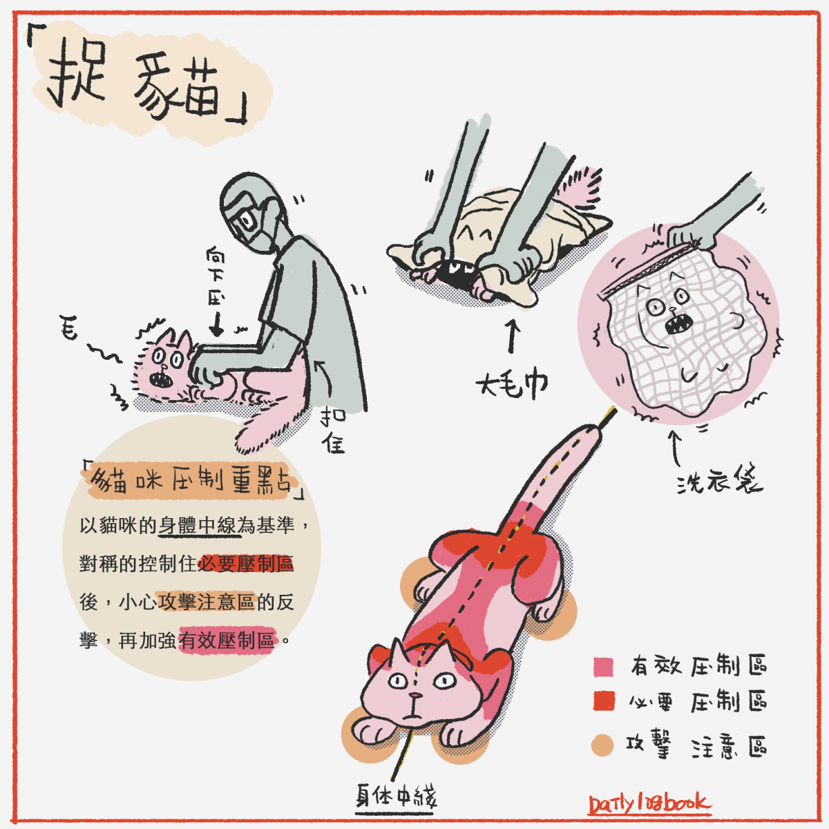 每隻貓咪的個性都不同，飼主平時就應該練習保定貓咪的方式。工作日誌 daily-logbook/提供