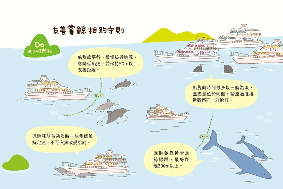 友善賞鯨相約守則：我們這麼做。取自海洋委員會保育署粉絲專頁