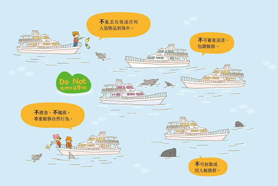 友善賞鯨相約守則：我們不這麼做。取自海洋委員會保育署粉絲專頁