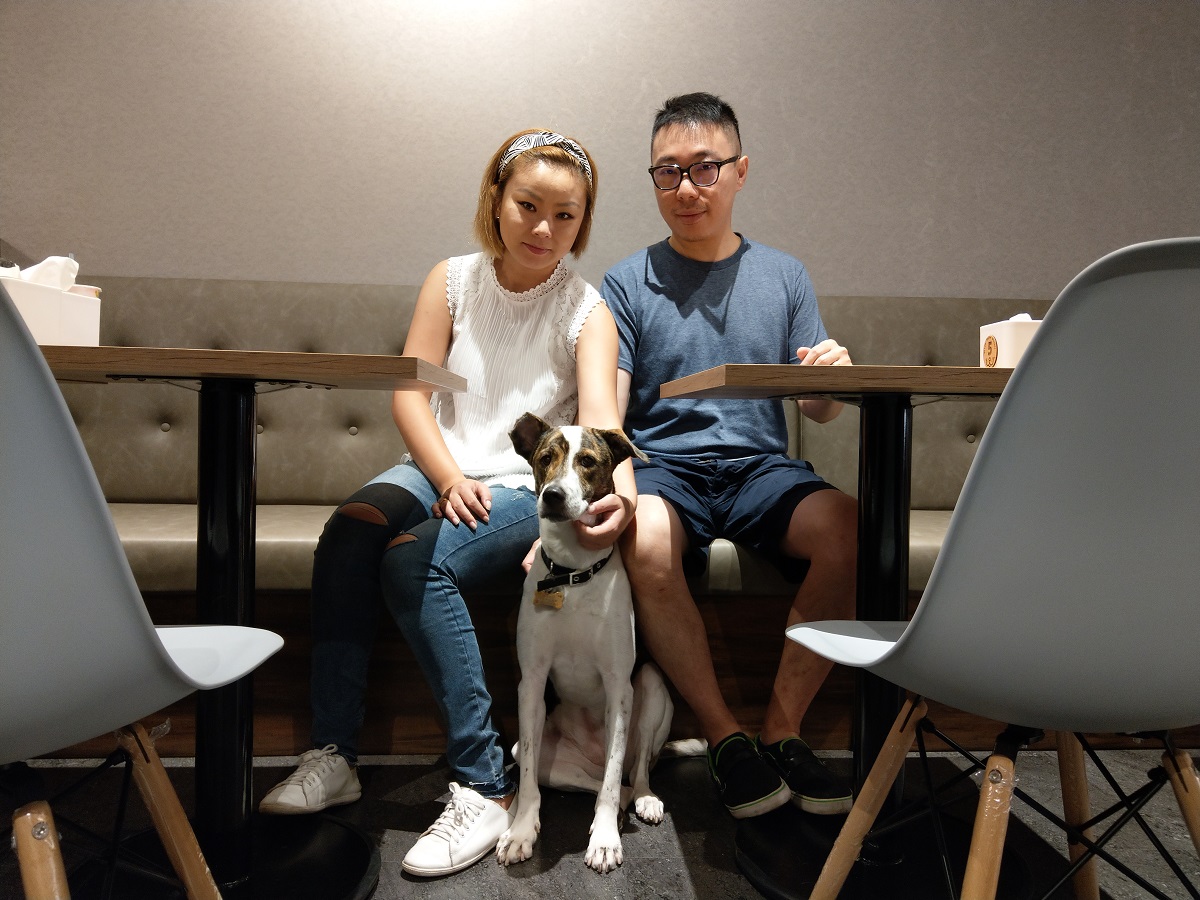 白菜媽表示，「狗狗牠的一生之中真的只有你，牠是我們生命的一部分，但我們是他們的全部。」陳璽安/攝