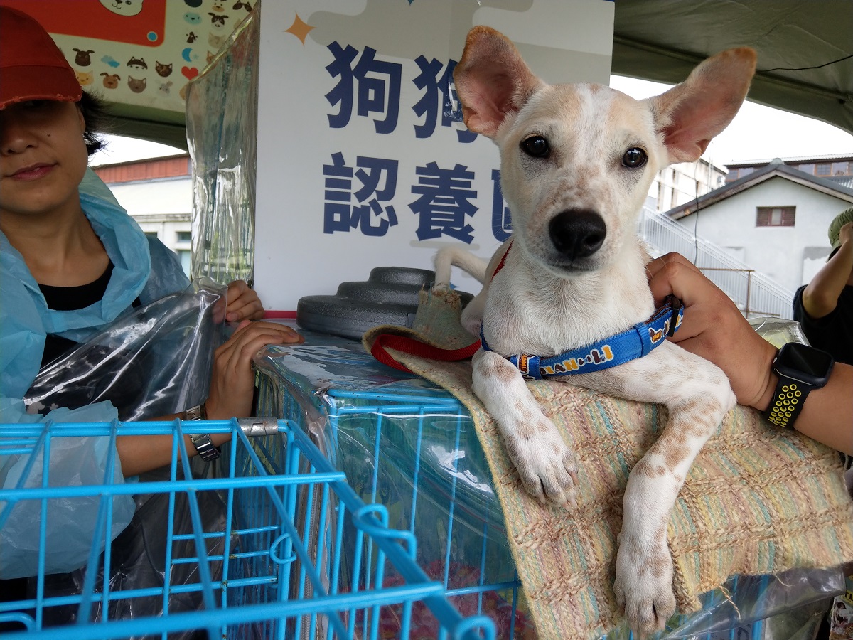 「Dog是好朋友 汪汪友善日」題倡領養前應做好充足準備，領養後應學習如何與狗狗溝通，避免因為不理解狗狗習性而棄養。陳璽安/攝