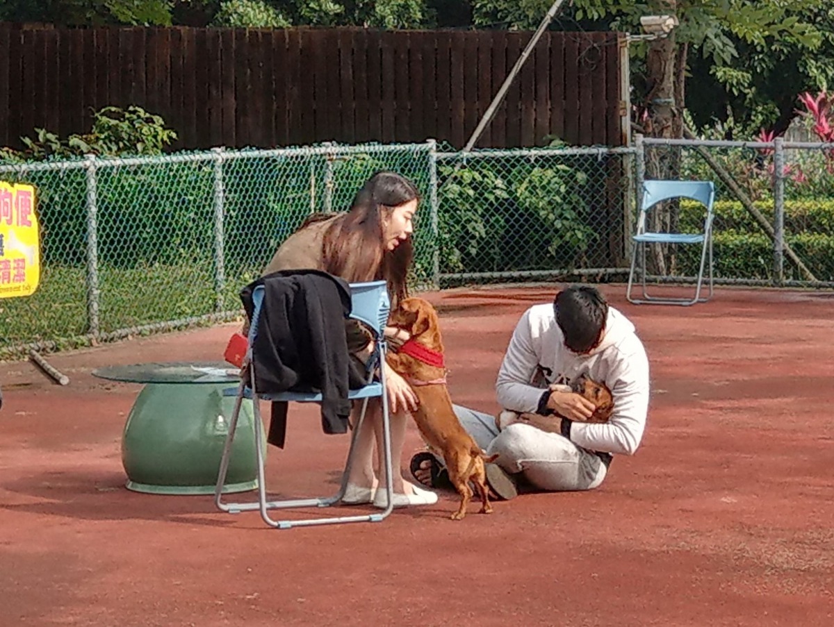 認養人可在運動區與狗狗互動，確認彼此投緣，再認養。陳璽安/攝