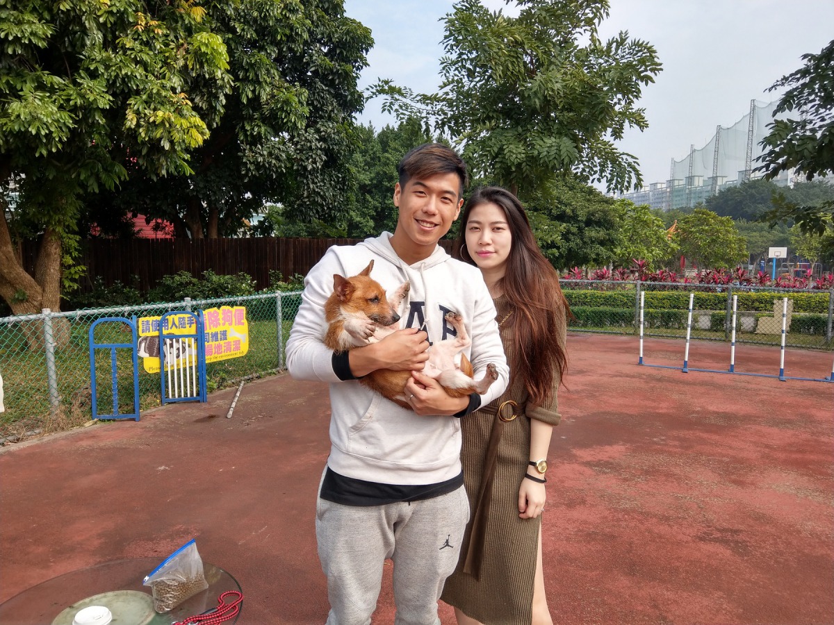 2日認養會一共送出25隻狗，認養人須經過面試才能獲得認養資格。陳璽安/攝