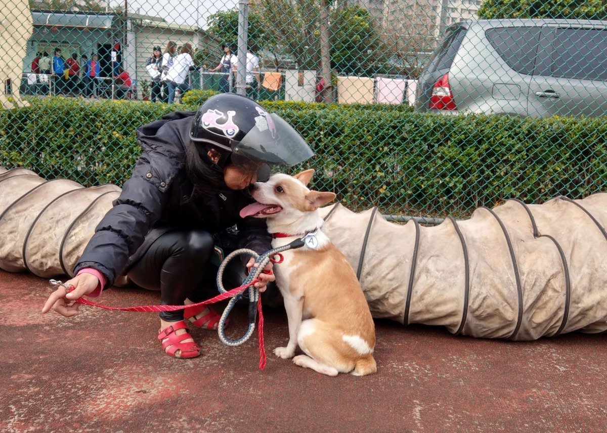 認養人林小姐耐心哄著不願移動的狗狗，為了讓狗狗能舒適地回家，騎機車來認養會的夫妻倆也叫了計程車讓狗狗搭乘。陳璽安/攝