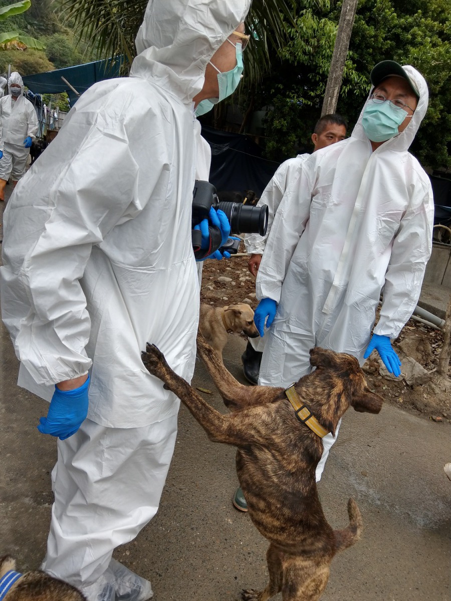 APA理事長李朝全(拿相機者)到場檢視防治所改善進度，並給予建議。陳璽安/攝