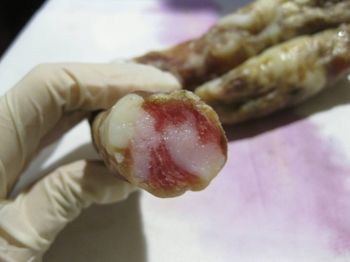 旅客違規攜帶臘腸。防檢局/提供