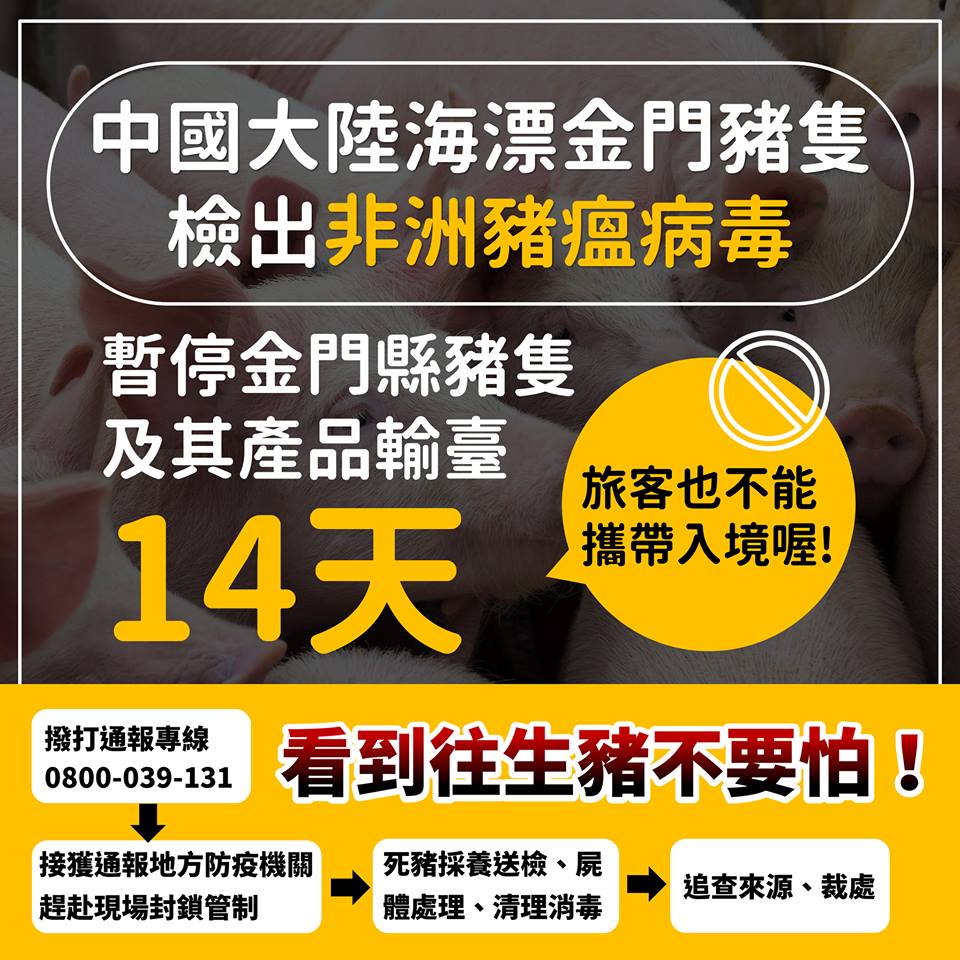 金門豬肉暫停輸入台灣,農委會也在臉書上說明看到往生豬的應對方式。取自農委會臉書
