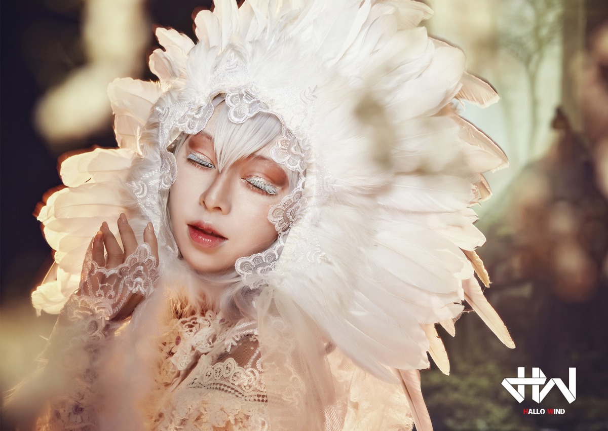 神祕的草鴞大多因為誤觸鳥網而被人發現，棲地消失或改變也是牠們面臨的危機。金色狂風HalloWind/提供