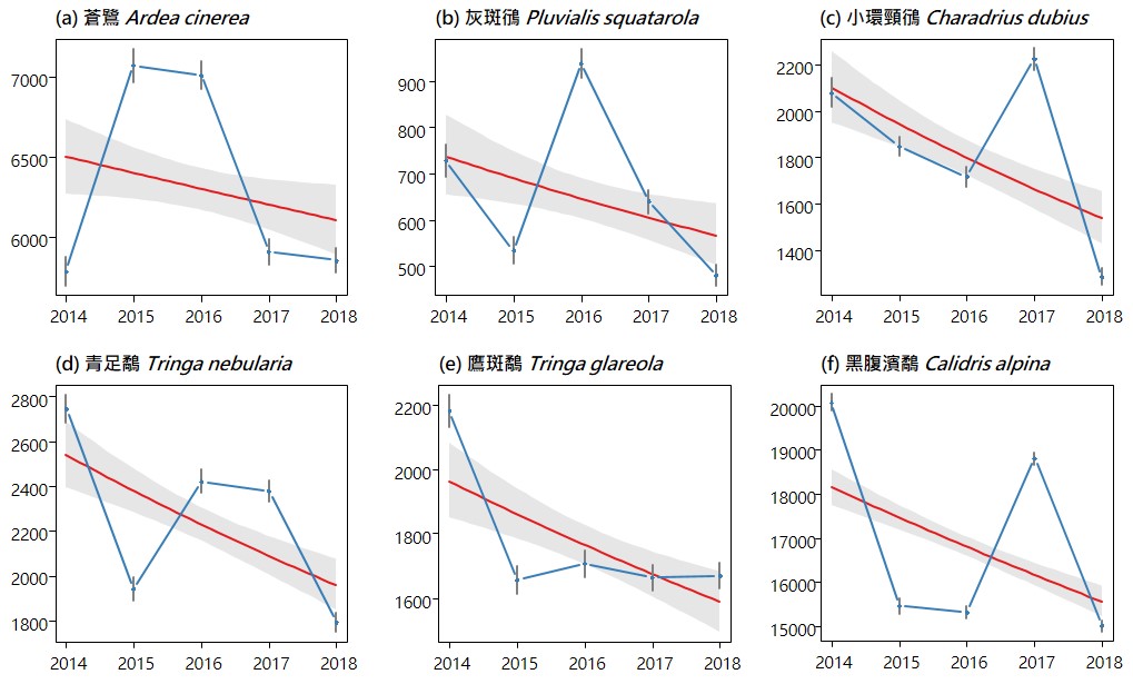 數量中度下降的6種度冬水鳥。許正得/繪製
