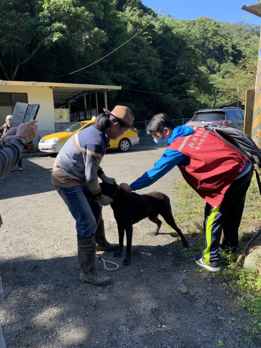 新北市動保處前往稽查，飼主協助保定。新北市動保處/提供