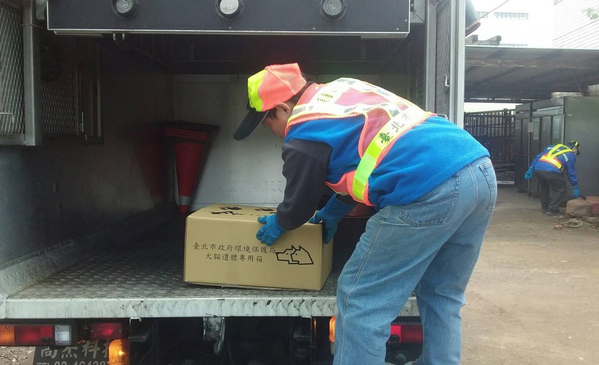 台南市動保處承諾向中央爭取經費，推動街犬貓遺體之人道處理方式。圖為台北市環保局清潔隊員使用犬貓遺體專用禮箱運送犬貓遺體。資料照，台北市政府/提供
