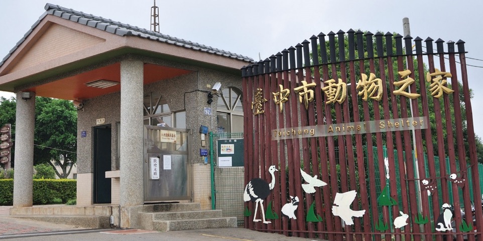 台中市一名繁殖業者未妥善照顧動物，動保處帶回46隻狗並安置於台中市動物之家。資料照，台中市動保處/提供