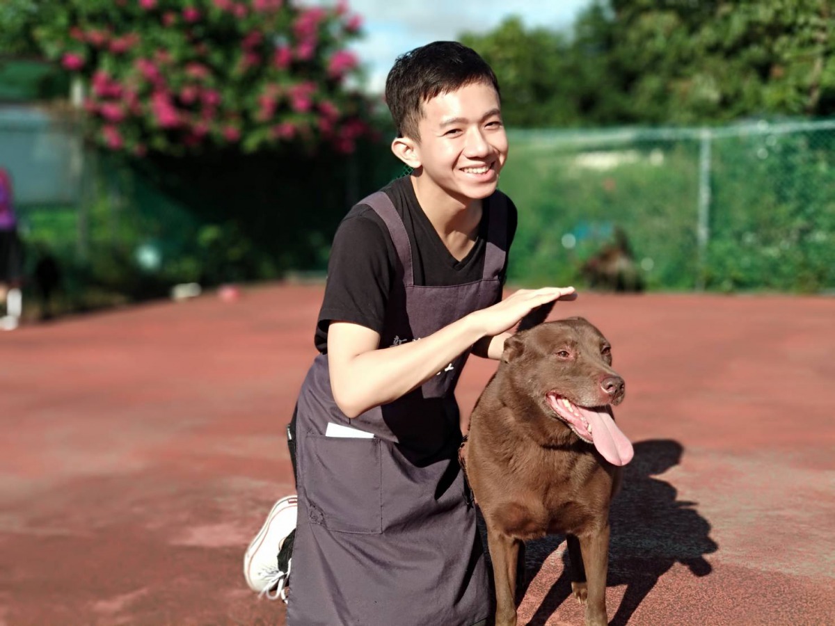 新北市動保處表示，非常歡迎民眾入園參觀或是加入志工團隊，讓人與動物在互動互惠。新北市動保處/提供