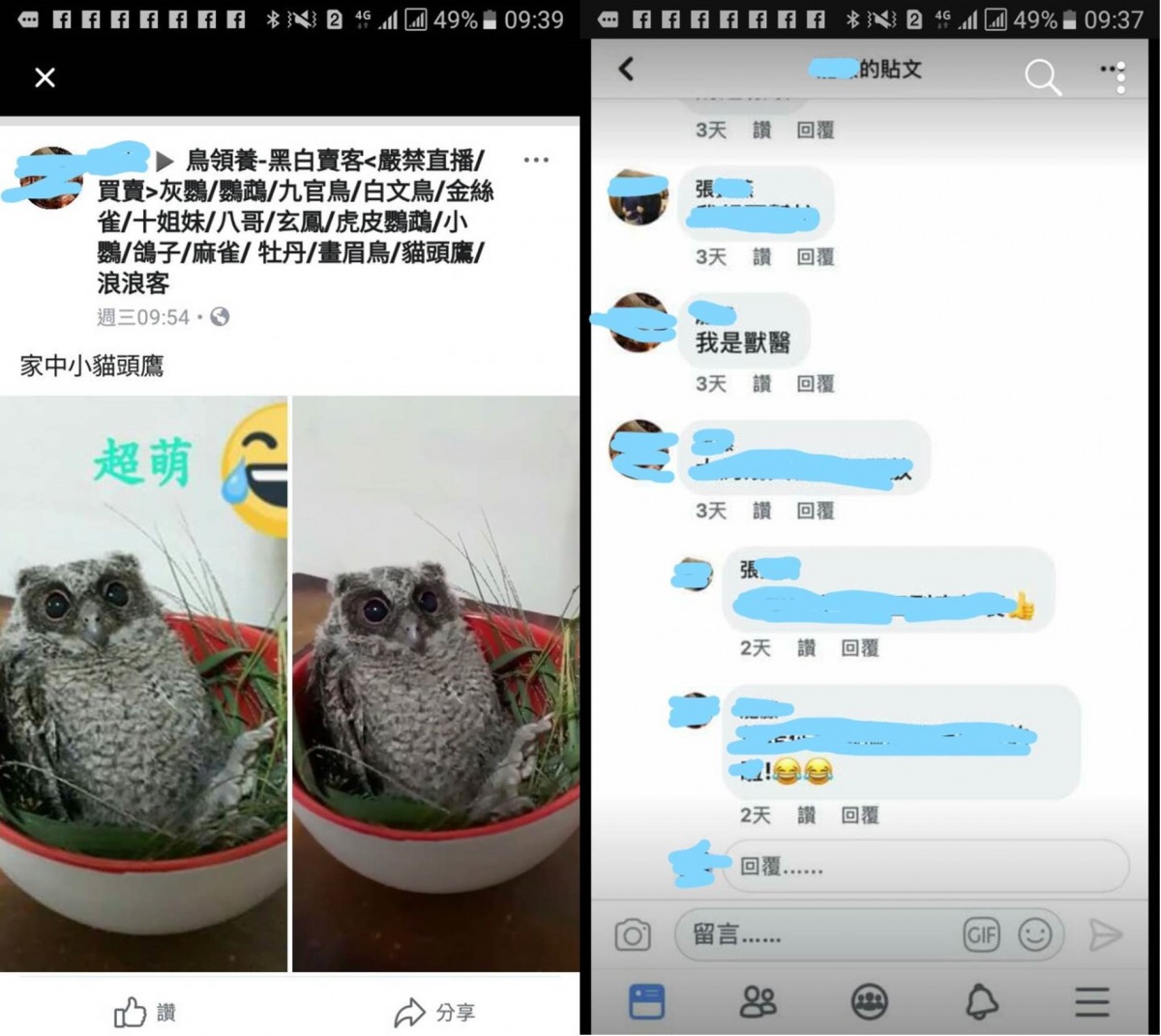 社群網站上有人上傳疑似領角鴞的照片，警方循線發現嫌犯為居住高雄的楊姓國中生。保七總隊第七大隊/提供