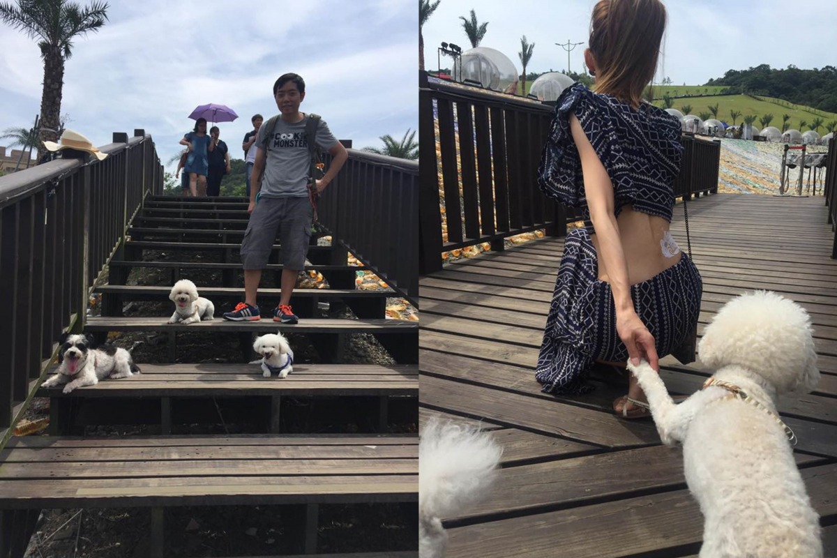 王先生與女主人時常帶「冠軍」、「旺旺」以及另一隻愛犬一起出門玩。新北市動保處/提供