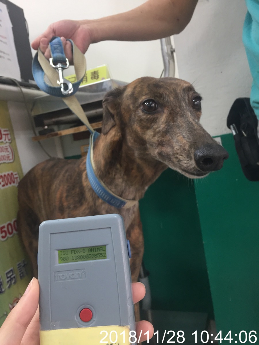 血犬過量捐血導致貧血動物醫院遭罰 社團法人中華民國保護動物協會 血犬過量捐血導致貧血動物醫院遭罰 社團法人中華民國保護動物協會