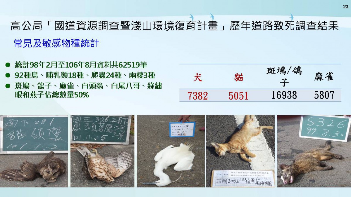 根據高速公路總局統計路死動物種類及數量資料，從2009年到2017年有7382隻狗走上國道遭路殺，貓則有5051隻。取自高公局「國道資源調查暨淺山環境復育計畫」