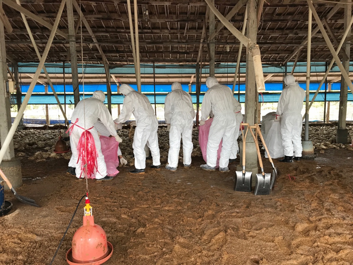 823水災造成台南市136場畜禽業牧場受災，損失動物超過84萬隻。台南市動保處/提供