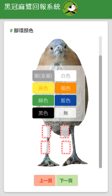 黑冠麻鷺回報系統示意圖。台北市動保處/提供