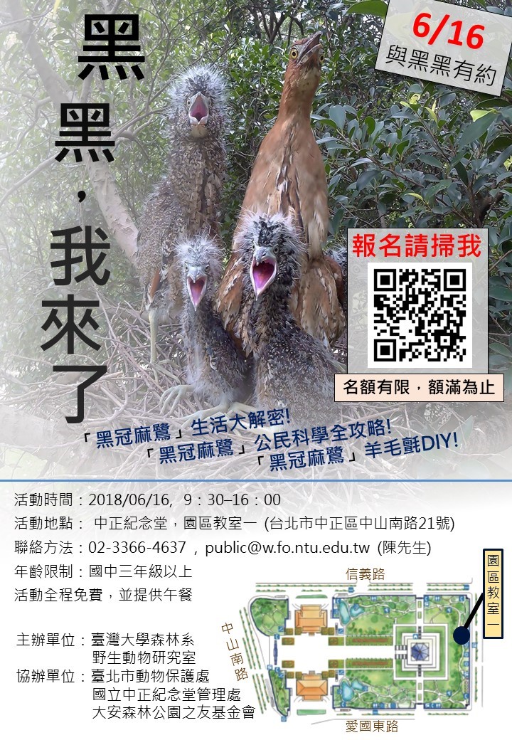 黑冠麻鷺公民科學工作坊歡迎大家踴躍報名。台北市動保處/提供