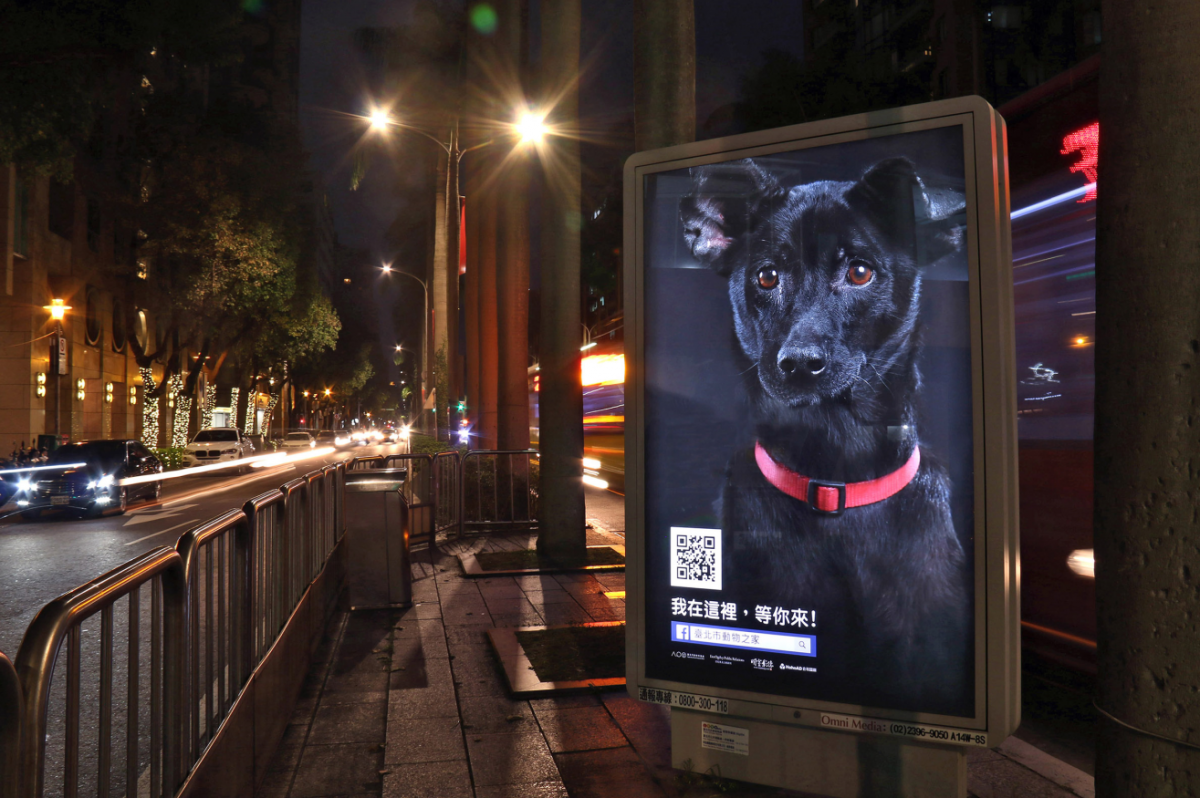 我在這裡等你與黑狗ella合影拿好禮 社團法人中華民國保護動物協會