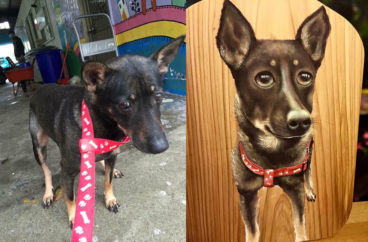 台中市動保處今（2018）年度的「浪愛有家關懷動物講座」目前僅剩最後兩場講座還有名額。資料照，丸子(張育榕)/提供