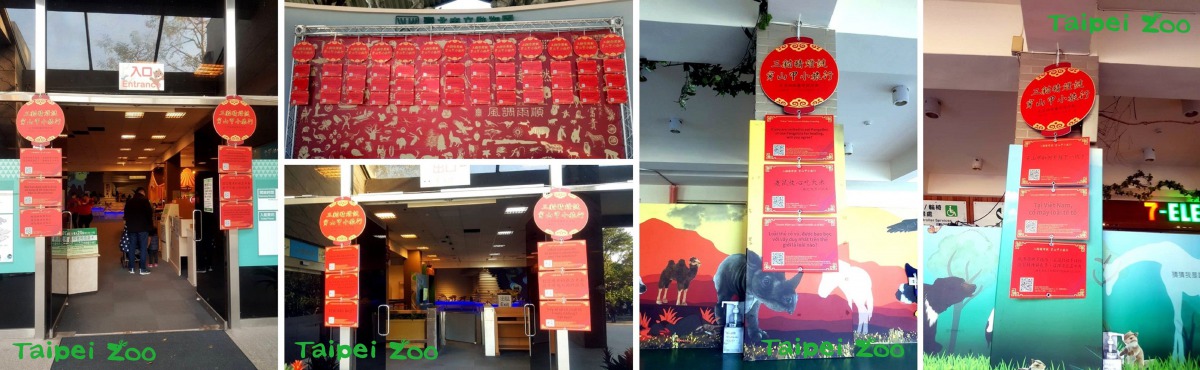 細心的遊客或許會發現,一串串喜氣洋洋的燈謎已經悄悄掛起。台北市立動物園/提供