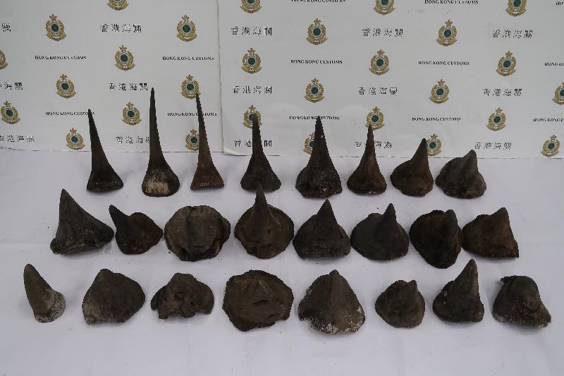港史上最大的犀牛角走私案的兩名犯嫌被判罪名成立，各自監禁26個月。香港政府新聞公報/提供