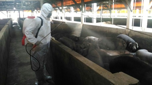 非洲豬瘟新北市災害應變中心於17日進行非洲豬瘟防疫沙盤推演。圖為消毒人員進行豬場消毒，新北市動保處/提供