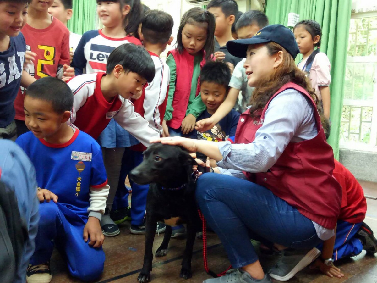 學生與公關犬互動。新北市動保處/提供