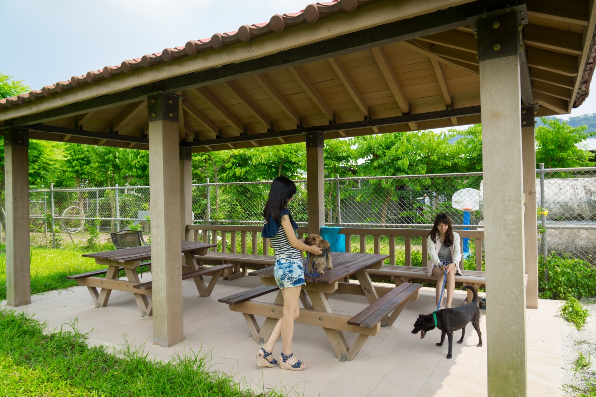 中和動物之家環境清幽,適合遛狗。新北市動保處/提供