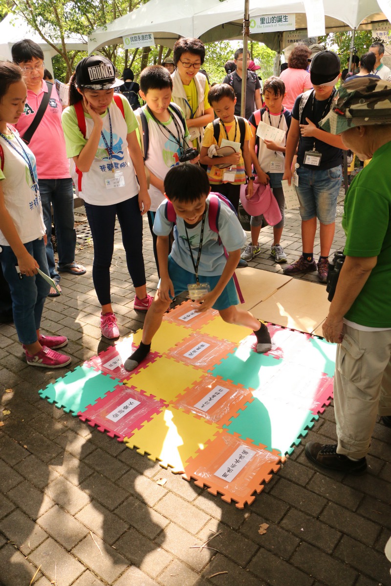 有趣好玩的「主題生態闖關」活動。台北市野鳥學會/提供