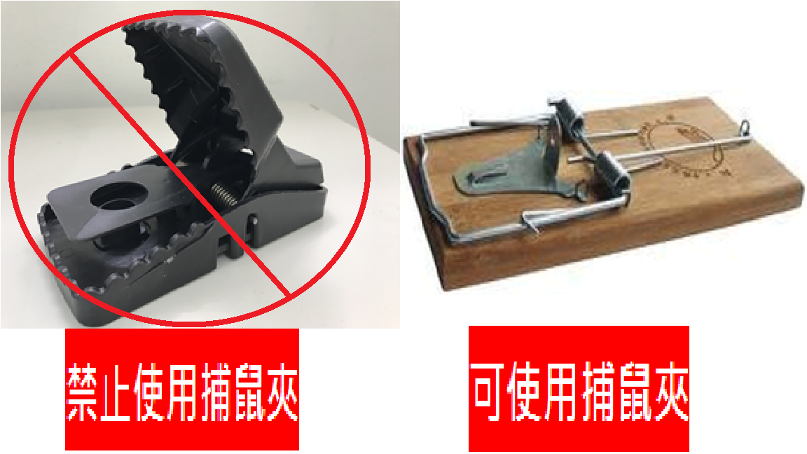 新式老鼠夾具強力彈簧與頜顎型或齒夾型結構，符合《動保法》定義的「獸鋏」。資料照，台中市動保處/提供