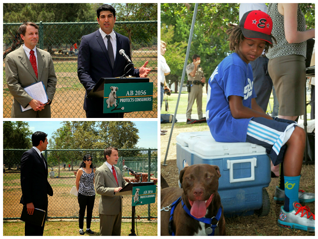 洛杉磯眾議員Matt Dababneh提出AB2056法案,法案一旦通過,加州將成為美國第一個對寵物保險實施基本要求的州。 取自Matt Dababneh個人網站