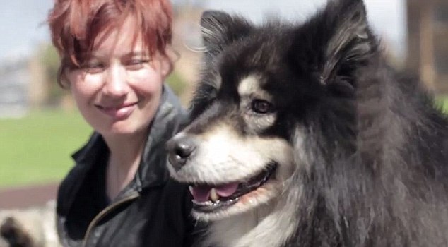 Dr Melissa Starling教狗狗辨識兩種聲音,進行實驗。取自Dailymail