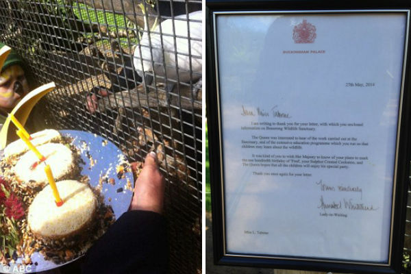 庇護所為弗雷德準備了生日蛋糕，英國女王也獻上祝福。　取自Dailymail、Bonorong Wildlife Sanctuary臉書