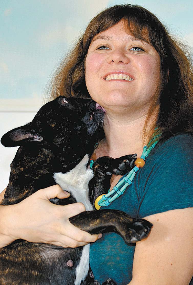 這隻鬥牛犬是第五次到克里絲泰勒家寄養，這次牠的主人要去希臘度假兩周。　取自網路